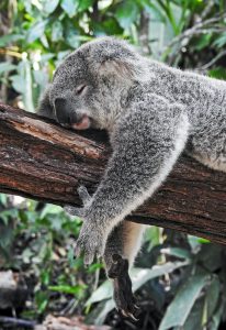 getting enough sleep is so important to your mental wellbeing
