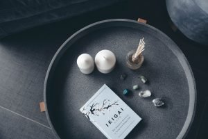 The Power of Ikigai? 1 Ikigai